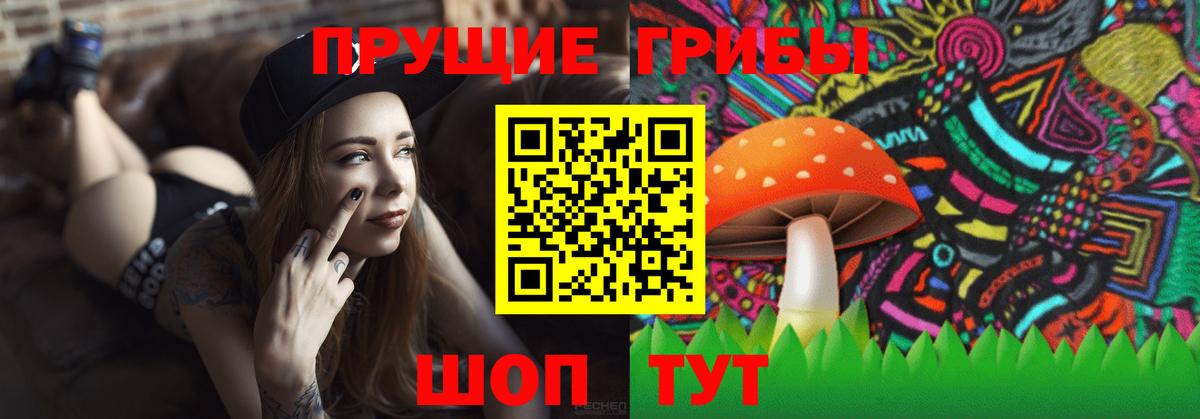 Галлюциногенные грибы мицелий Губкин
