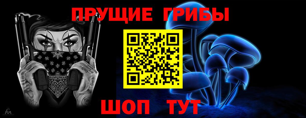 Губкин  Псилоцибиновые грибы GOLDEN TEACHER  Вход с VPN  Галлюциногенные грибы ЛСД 