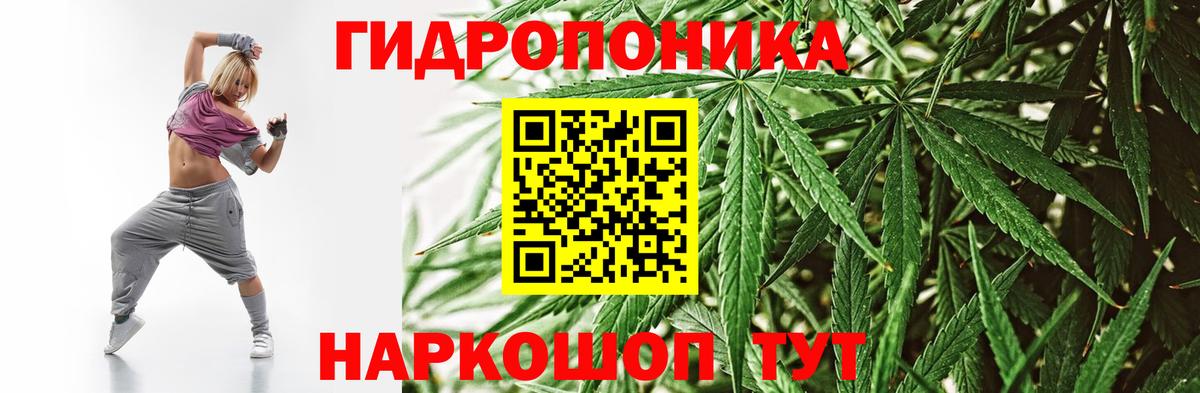 Меф Губкин